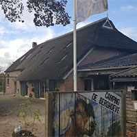 Camping De Berghoeve in regio Drenthe, Nederland