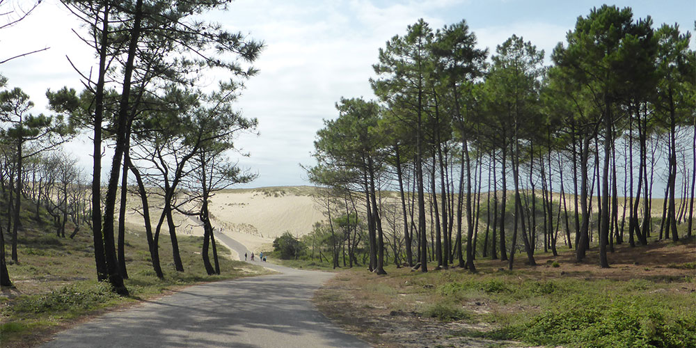 Strand bij Camping Le Vieux Port, Messanges Strand bij Camping Le Vieux Port, Messanges