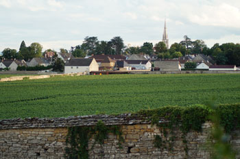 Doorkijkje naar Meursault Doorkijkje naar Meursault