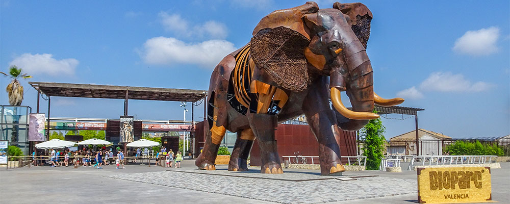 Valencia - Bioparc dierentuin Valencia - Bioparc dierentuin