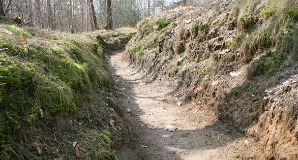 Wandelen loopgraven op Kattenberg, Stokkum, Twente Wandelen, Stokkum, Twente
