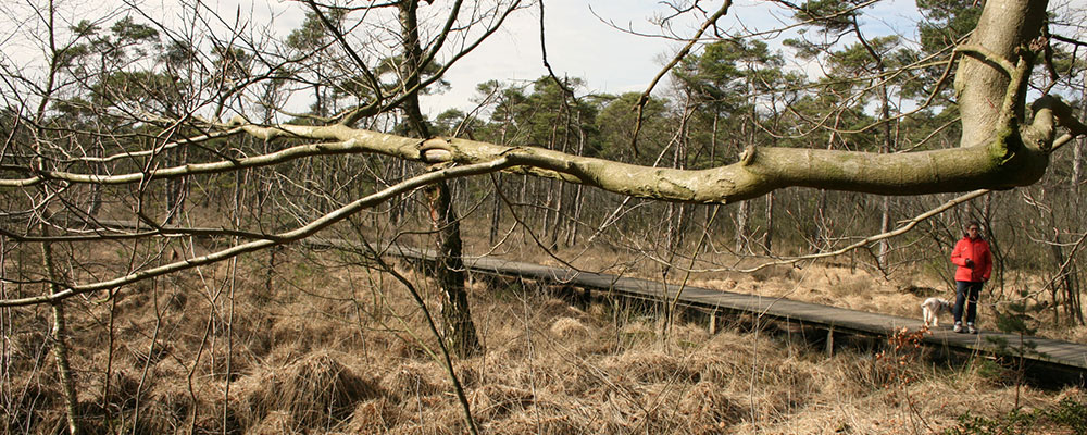 Wandelen bij Azelo Wandelen bij Azelo