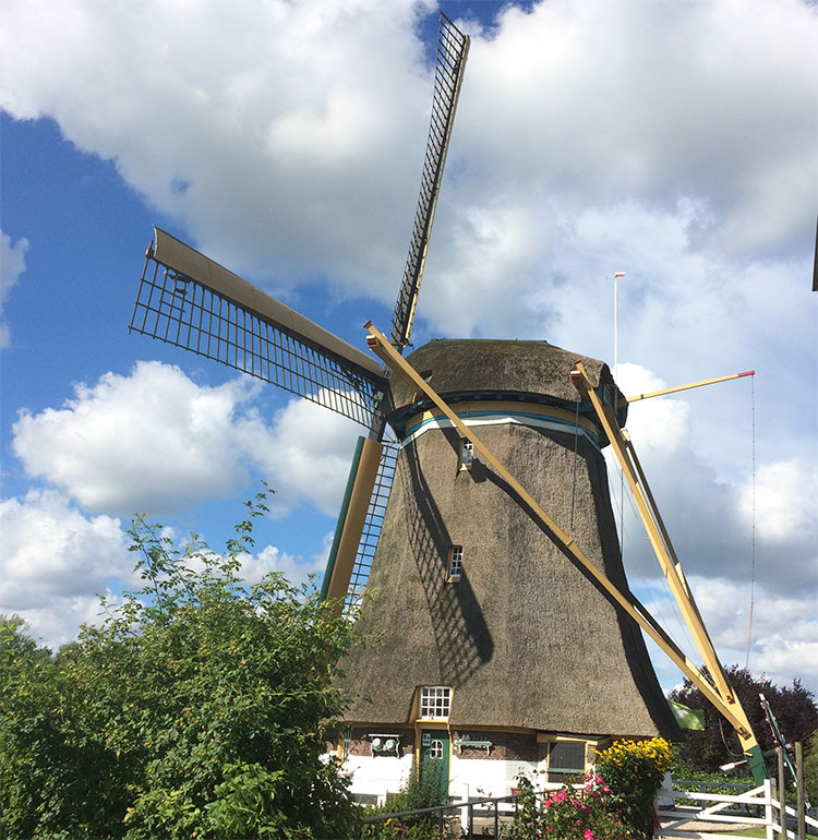 Nederlandse Molen Nederlandse Molen