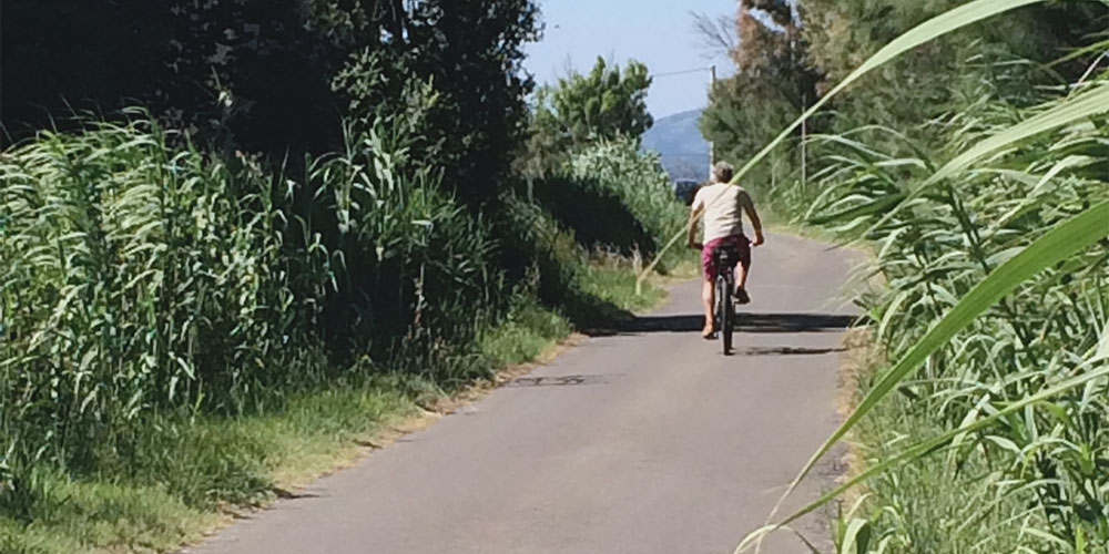 Fietsrondje rond het meer Fietsrondje rond het meer