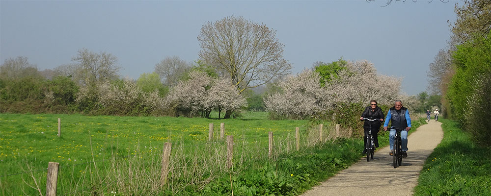 Wij Nederlanders willen fietsen