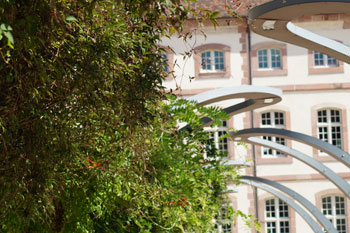 tuin in Colmar