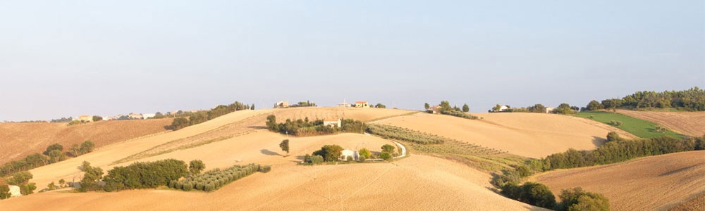 De herstzon in Marche, rond Tenuta Tredici Ulivi