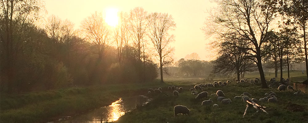 Ondergaande zon, terras golfbaan Bleijenbeek