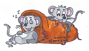 Slaapzakmuizen Slaapzakmuizen