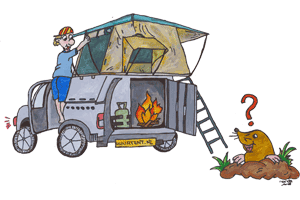 Tent, vouwwagen of camper? Tent, vouwwagen of camper?