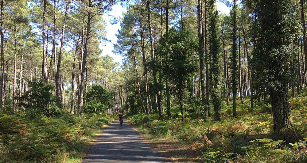 Vélodyssée, 1200 km fietsroutes westkust Frankrijk Fietsoute Vélodyssée