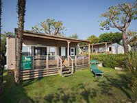 Premium Plus Lounge Premium Plus Lounge