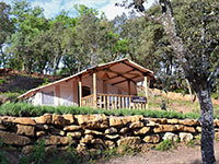 SunLodge Safari SunLodge Safari