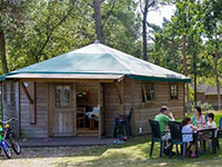 Heldense Bossen Kampeerbungalow 4p Heldense Bossen Kampeerbungalow 4p