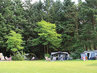 Ginkelduin Staanplaats Ginkelduin Staanplaats