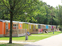Hoeven Pioen Hoeven Pioen