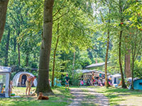 Jutberg comfortplaats Jutberg comfortplaats