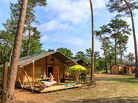 Haeghehorst Safaritent Woods Haeghehorst Safaritent Woods