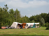 It Wiid Standaard It Wiid Standaard