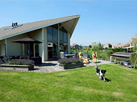 Paardekreek Rietgans Paardekreek Rietgans