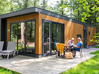Grote Bos Doornveld Grote Bos Doornveld