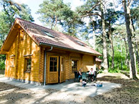 Grote Bos Sparrendaal met Sauna Grote Bos Sparrendaal met Sauna