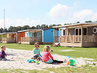 Flevostrand Pioen Flevostrand Pioen