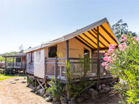 Eco Lodge