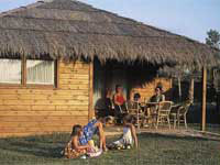 Aloha Lodge