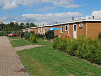 Type B Standaard Type B Standaard