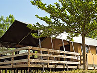 Safari Lodge Safari Lodge