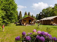 Roggeberg De Wold Roggeberg De Wold