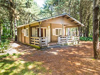 Flaasbloem Forest Lodge Flaasbloem Forest Lodge