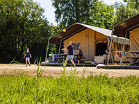 Zeewolde De Zwaluw Zeewolde De Zwaluw