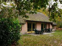 Bungalows Bungalows