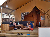 Sunlodge Yucca Sunlodge Yucca