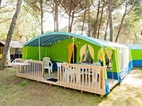 Rent-a-Tent Lodgetent Forest 