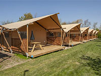 Hof Domburg Lodgetent 6p Hof Domburg Lodgetent 6p