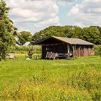 Camping BoerenBed De Kalverweide in regio Overijssel, Nederland