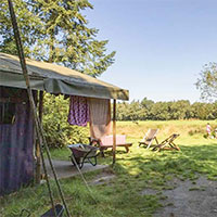 Camping BoerenBed Het Wesselink in regio Overijssel, Nederland