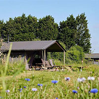 Camping BoerenBed Manor Farm in regio Zuid Engeland, Groot-Brittannië