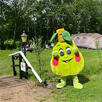 Camping De Toffe Peer in regio Drenthe, Nederland