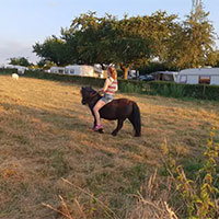 Camping La Dolce Vita (Limburg) in regio Limburg, Nederland