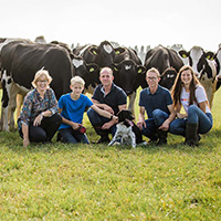Camping Op Flakkee Farmcamps in regio Zuid-Holland, Nederland