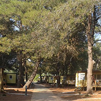 Camping Pineta (Fazana) in regio Istrië, Kroatië