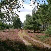 Camping Sonnenberg in regio Niedersachsen / Harz, Duitsland