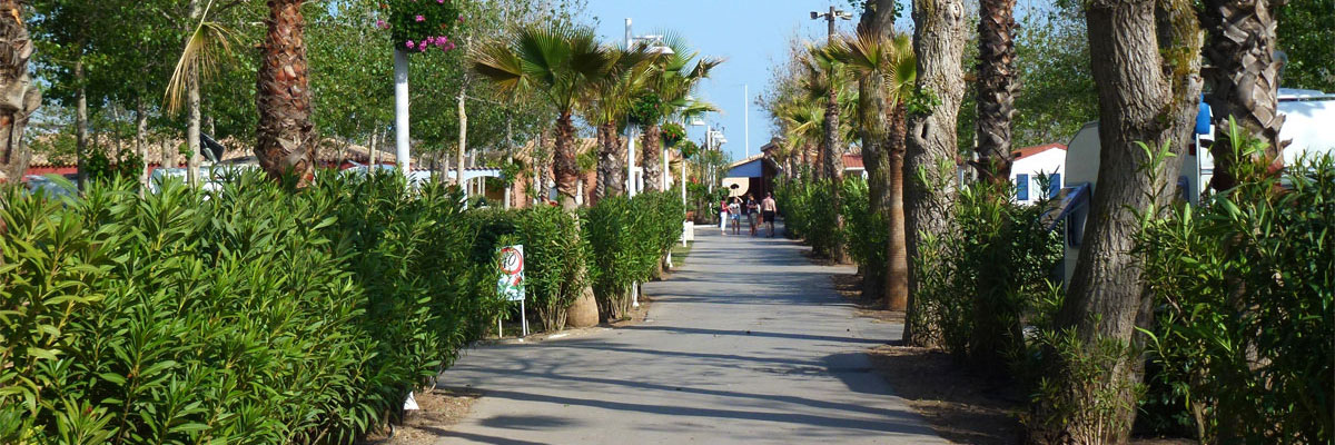 Staanplaats voor tent of caravan in Montenegro Staanplaats voor tent of caravan in Montenegro