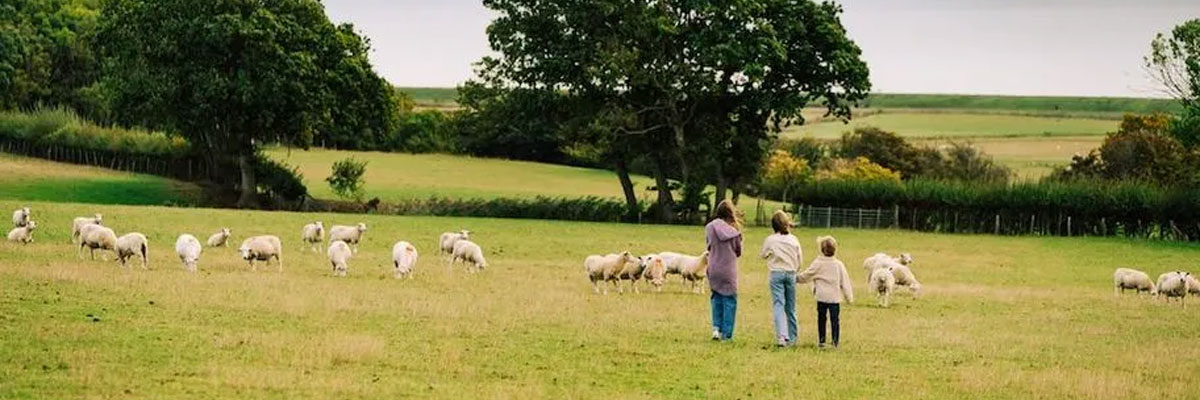 BoerenBed Lunsford Farm in Sussex