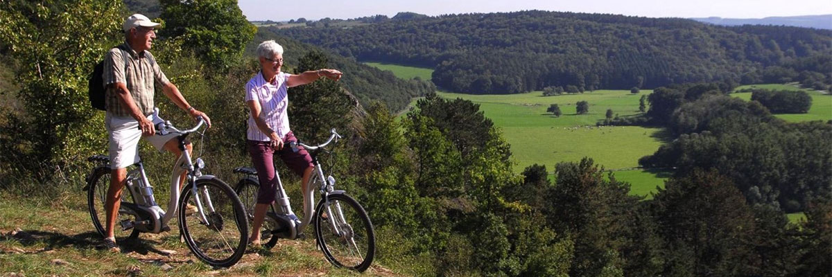 De bossen in met de fiets